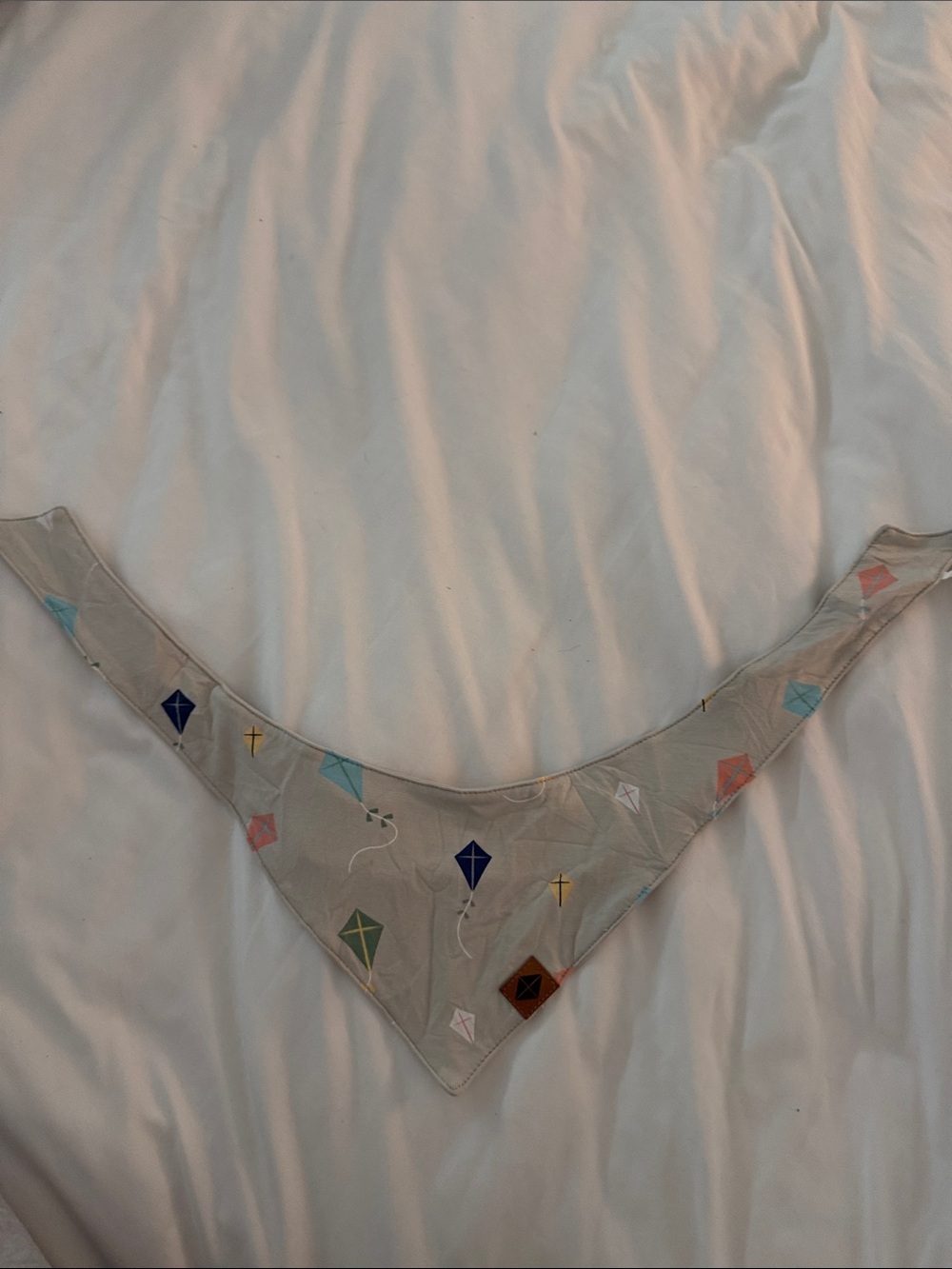 Kyte Baby Kite Print Bandana